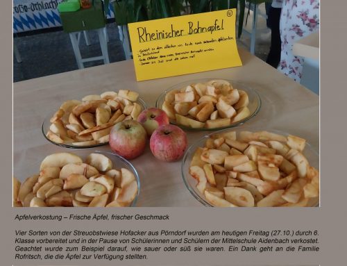 Apfelverkostung an der MS Aidenbach