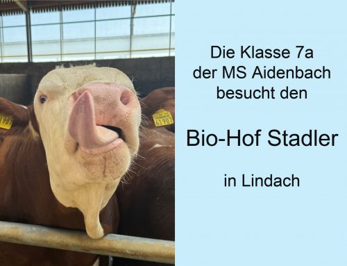 Besuch: Biohof Stadler in Lindach