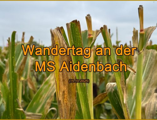 Wandertag am 15.10.2025