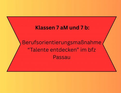 Die 7. Klassen im bfz Passau