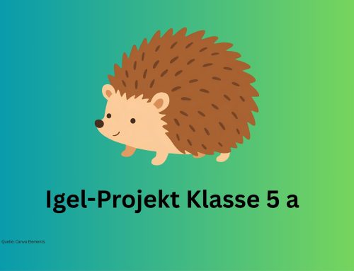 Medienpädagogisches Projekt Klasse 5 a
